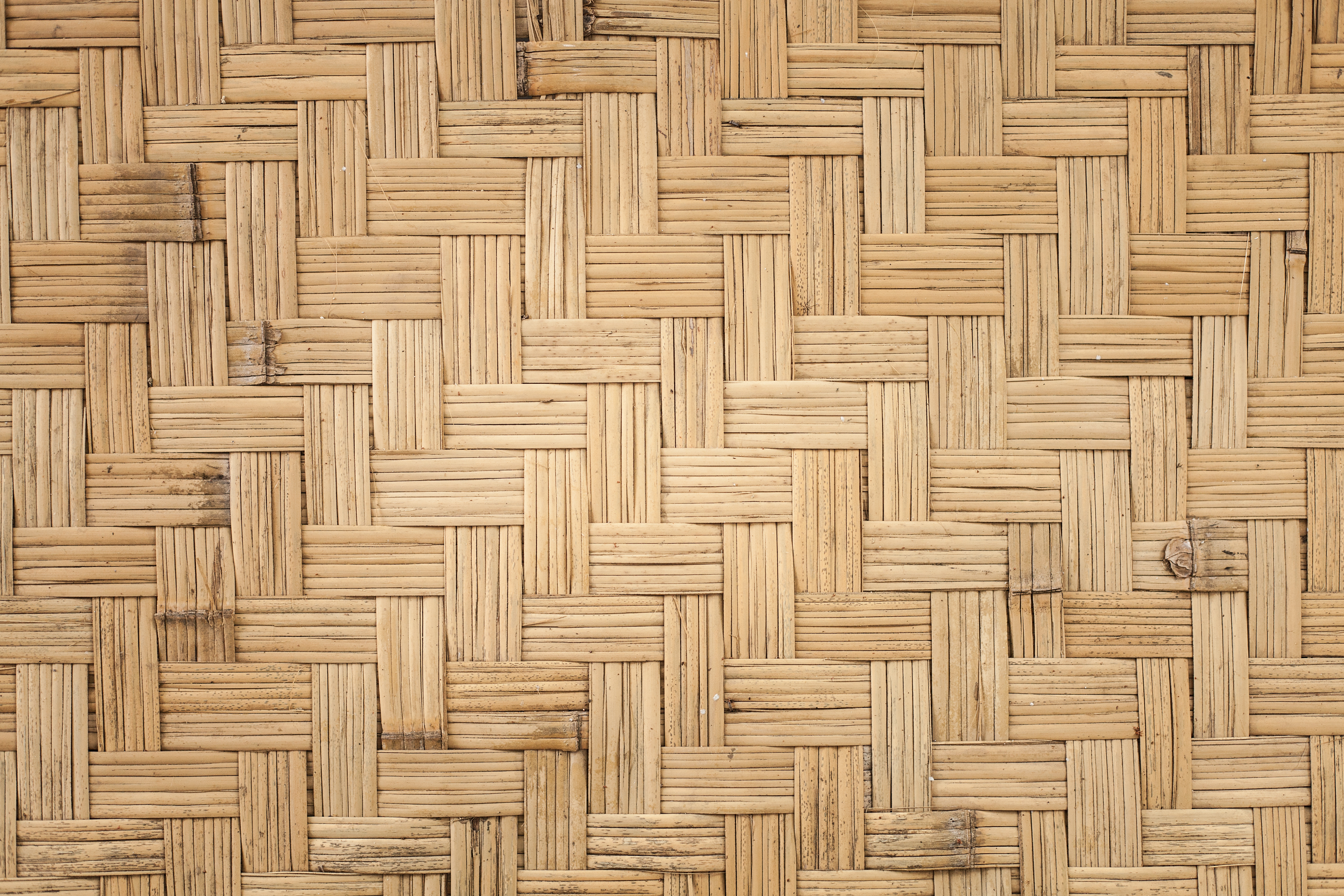 Texture de raphia, visuel temporaire du profil d’exemple André Makiese
